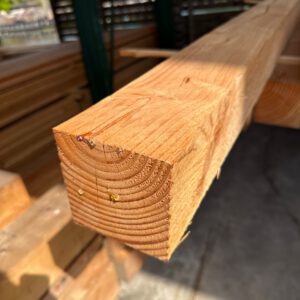560.030 M1 Douglas 100 x 100 mm